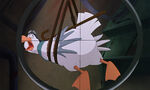 Rescuers-down-under-disneyscreencaps.com-3941