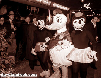 first mickey and minnie mouse costumes