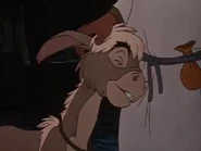 Smallonelike.jpg (21 KB) Small One taking a sudden liking to Joseph