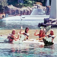 Live Mermaids on the rocks