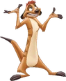 Timon 1