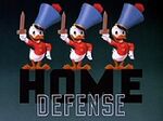 Home defense