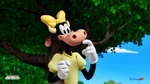 Disney+ thumbnail of "Clarabelle's New Coop"