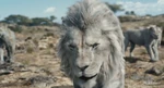 Mufasa The Lion King - Kiros.jpg (1.97 MB)