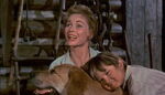 Old-yeller-disneyscreencaps.com-1352