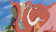 Captured by Tantor.