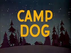 Camp-Dog