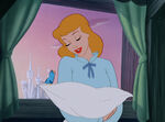 One of the birds with Cinderella