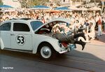 Herbie 5