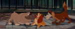 Lady-tramp-disneyscreencaps.com-6438