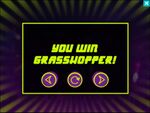 Puzzle Ninja - You Win Grasshopper!