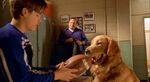 Airbud2-01