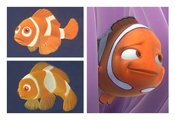 Marlin Finding Nemo Coral Barracuda