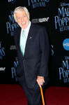 Dick Van Dyke at the premiere of Mary Poppins Returns in December 2018.