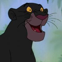 Bagheera Disney Wiki Fandom Baloo the american black bear, leo the african lion, and shere khan the bengal tiger eat, sleep and play together at noah's ark animal from large wild cats getting along with dogs, gorillas who've adopted kittens, here are the unusual animal friendships you won't believe subscribe to american eye! bagheera disney wiki fandom