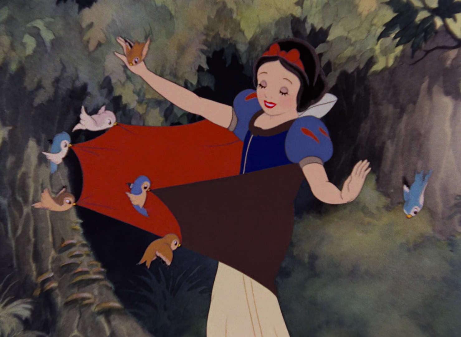 Snow White's Cape | Disney Princess Wiki | Fandom