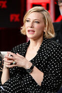 Cate Blanchett speaks at the Mrs. America panel at the 2020 Winter TCA Tour.