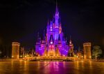 Cinderella-castle-tokyo-disneyland-shallow-pavement-night-sigma-35