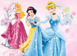 Disney Princess Promotional Art 10