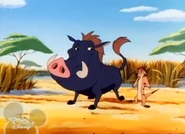 Timon inspects Baampu