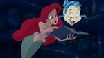 Ariel wants to learn more about the human world