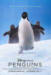 Penguins poster