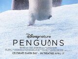 Pinguins (filme)