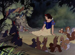 The animals listening to Snow White sing.