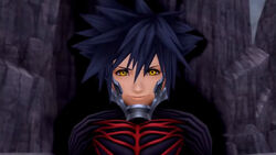 Vanitas Revealed