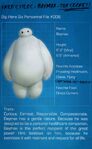 Baymax Info 03