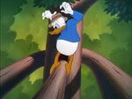 Donald Duck - Out On A Limb 195021