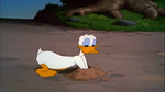 Donald Duck's shirt is taken by the ants.