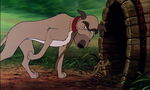 Fox-and-the-hound-disneyscreencaps.com-908