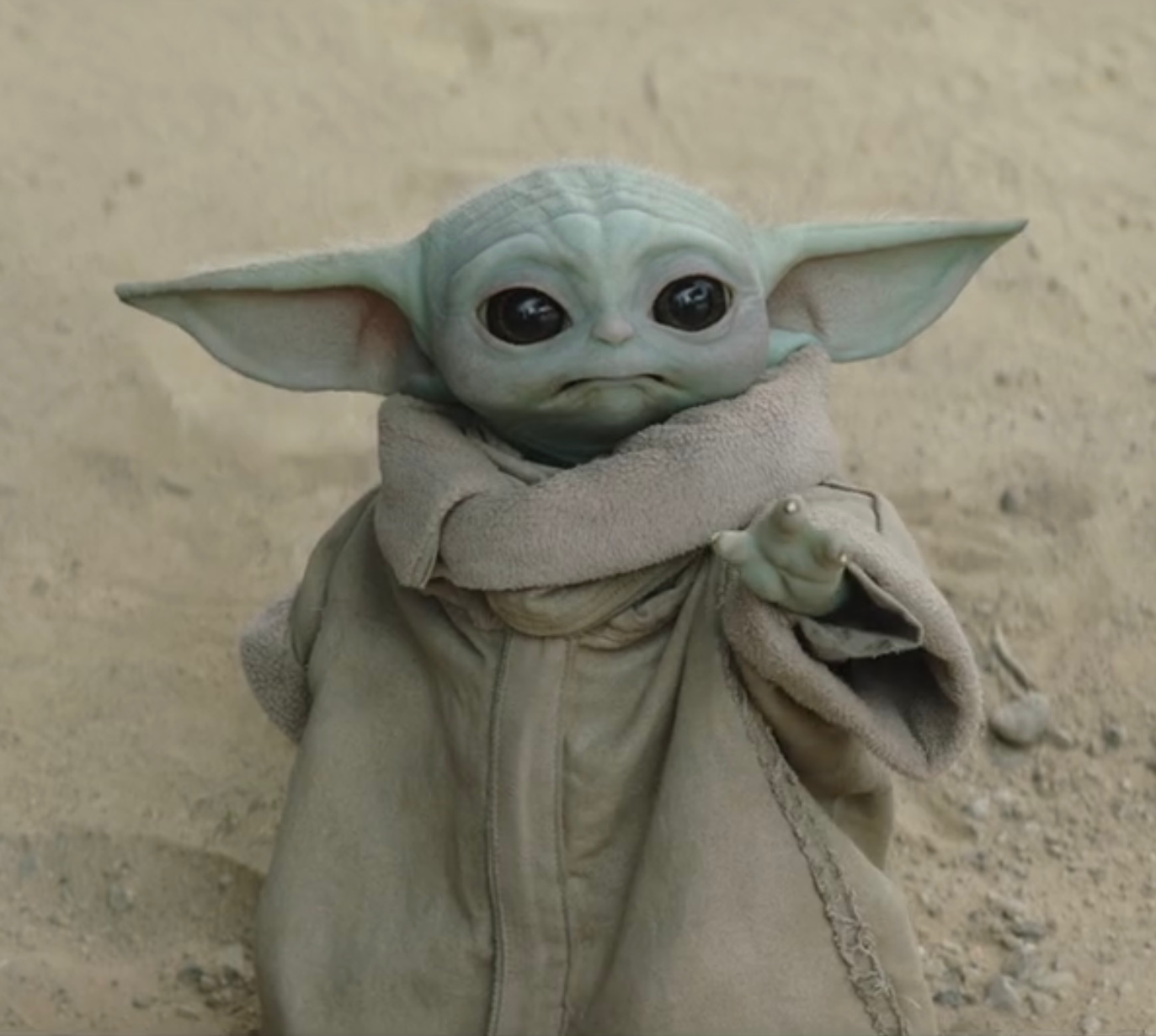 This Baby Yoda Succulent Will Force Its Way into Your Heart 