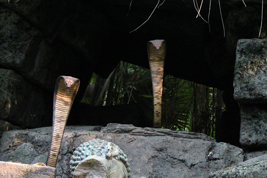 King Cobras | Disney Wiki | Fandom