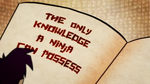 "The only knowledge a Ninja can possess..."