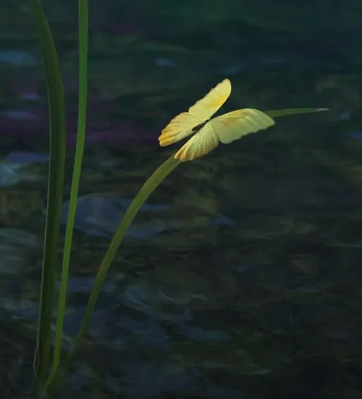 Miracle Butterflies