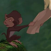 Baby Baboon Disney Wiki Fandom The baby baboon first appears when jane leaves her expedition group. baby baboon disney wiki fandom