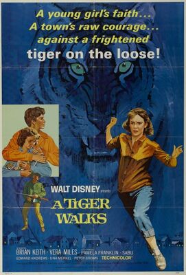 1964-tigre-1