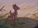 Bambi-disneyscreencaps.com-3124