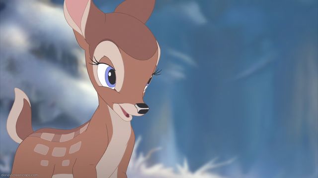 Bambi and feline