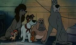 Dodger Gallery Disney Wiki Fandom