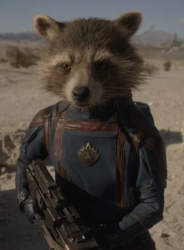 Profile - Rocket Raccoon