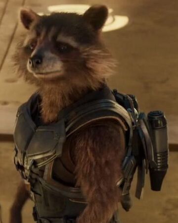 Rocket Raccoon Disney Wiki Fandom Rocket Raccoon Disney Wiki Fandom