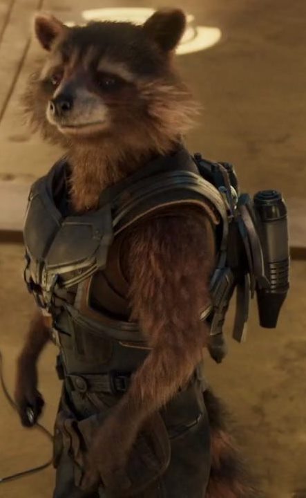 Baby Rocket Raccoon Test Footage Is the Cutest Thing You'll See Today