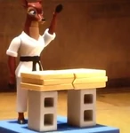 Tae-Kwon Doe (Toy Story Toons)