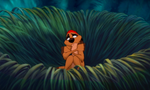 Timon after being left alone in his jungle paradise.