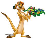 Timondisney