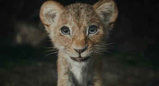 Kiara live action cub