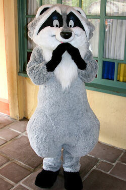 Meeko WDW